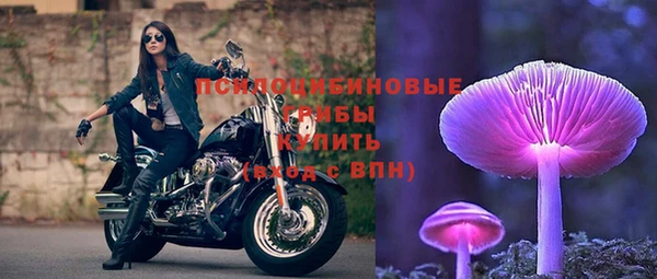 трава Заволжск