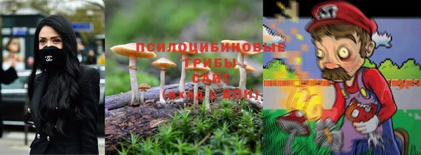 ГАЛЛЮЦИНОГЕННЫЕ ГРИБЫ Заволжье