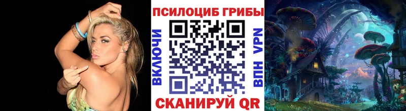 Псилоцибиновые грибы Psilocybine cubensis Чегем