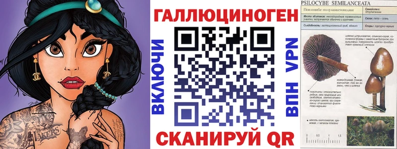 Псилоцибиновые грибы Cubensis  Купить  Чегем 